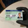 Germany Fake ID