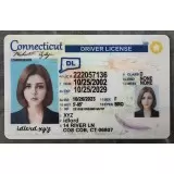 Connecticut (CT) Fake ID
