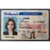 Delaware (DE) Fake ID