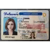 Delaware (DE) Fake ID