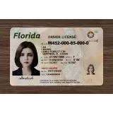 Florida (FL) Fake ID
