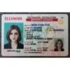 Illinois (IL) Fake ID