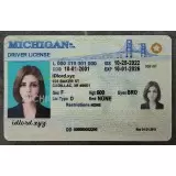 Michigan (MI) Fake ID
