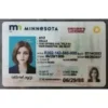 Minnesota (MN) Fake ID