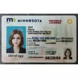 Minnesota (MN) Fake ID