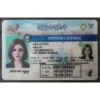Nevada (NV) Fake ID