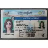 Nevada (NV) Fake ID