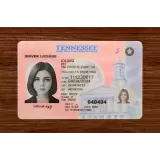 Tennessee (TN) Fake ID (2025 Version)