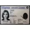Virginia (VA) Fake ID