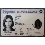 Virginia (VA) Fake ID