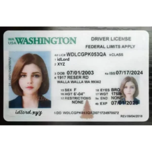 Washington (WA) Fake ID