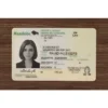 Manitoba (Man) Fake ID (2026 Version)